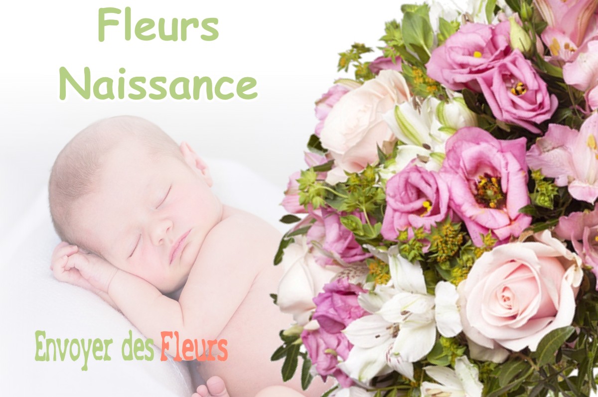 lIVRAISON FLEURS NAISSANCE à REVENTIN-VAUGRIS